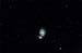 Jordan Cook - M51
